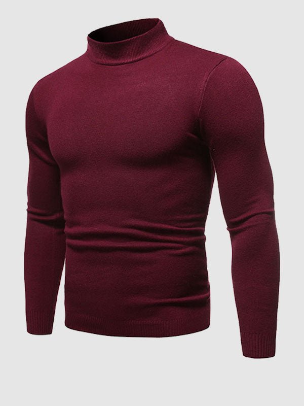 Oliver - Men's Spring Slim Fit Turtleneck Sweater