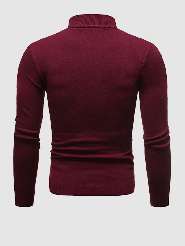 Oliver - Men's Spring Slim Fit Turtleneck Sweater